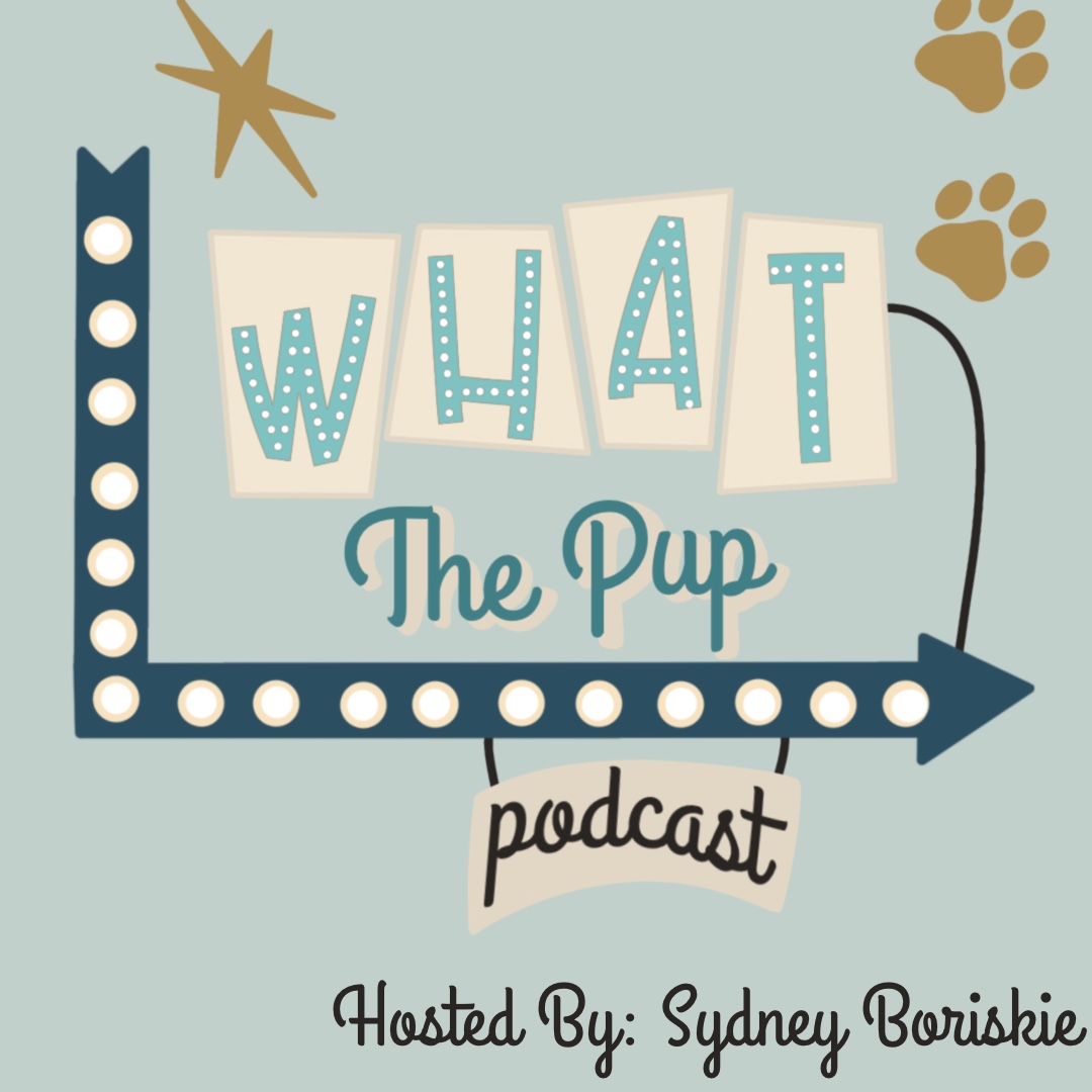 What The Pup – Breed Choice & Bringing Your Dog To College