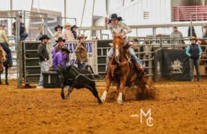 Cowgirl roping a calf.