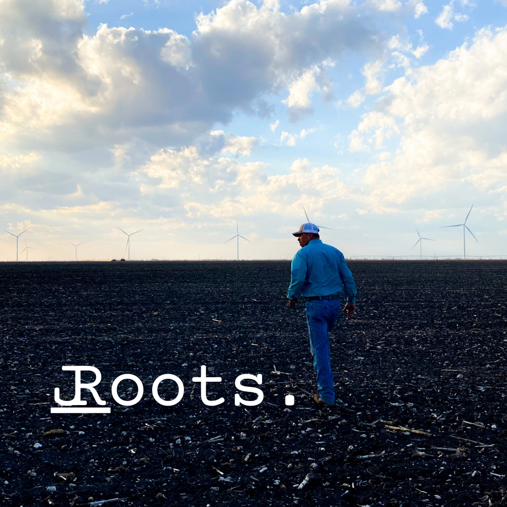 Roots: Episode 2 – 1349 in 2022