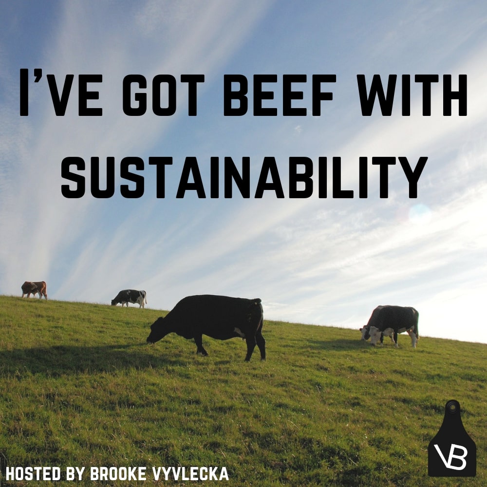 I've Got Beef with Sustainability cover art.