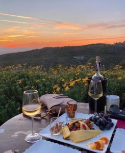 This photo captures an aesthetic view of everything in between the wines with the background as a field of flowers and also includes great pairings such as cheese and fruit on a plate. 